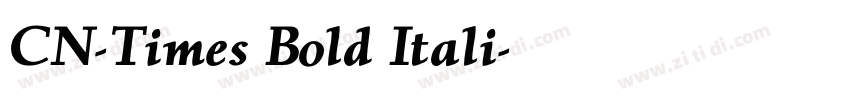 CN-Times Bold Itali字体转换